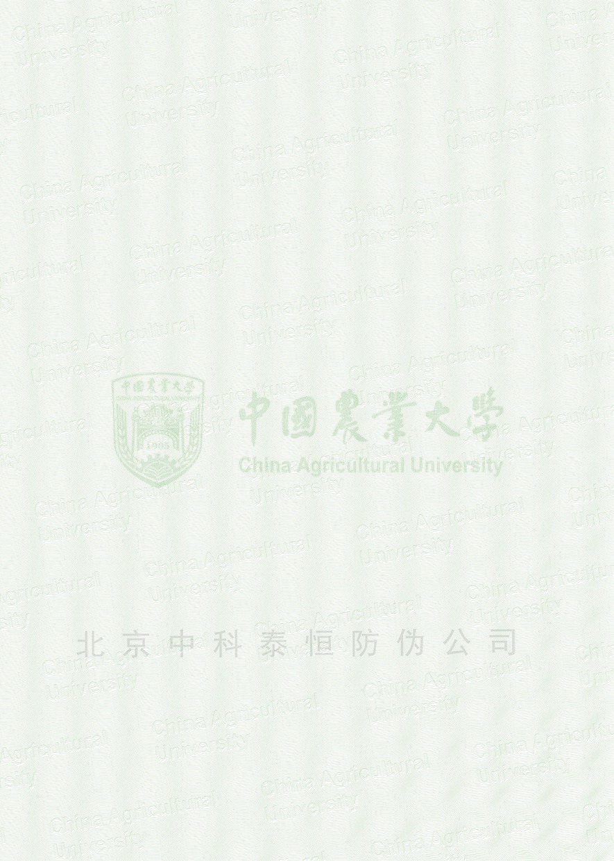 成绩单