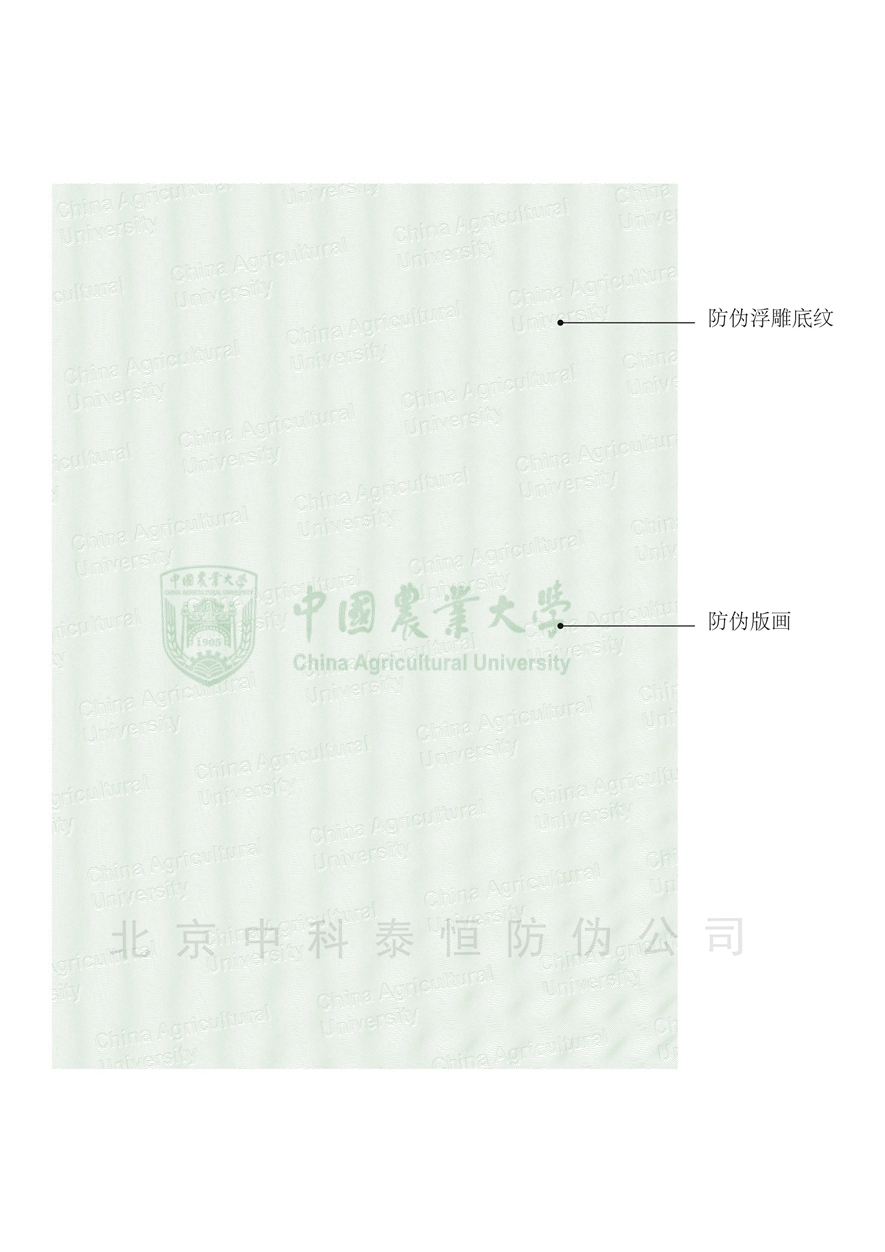 成绩单