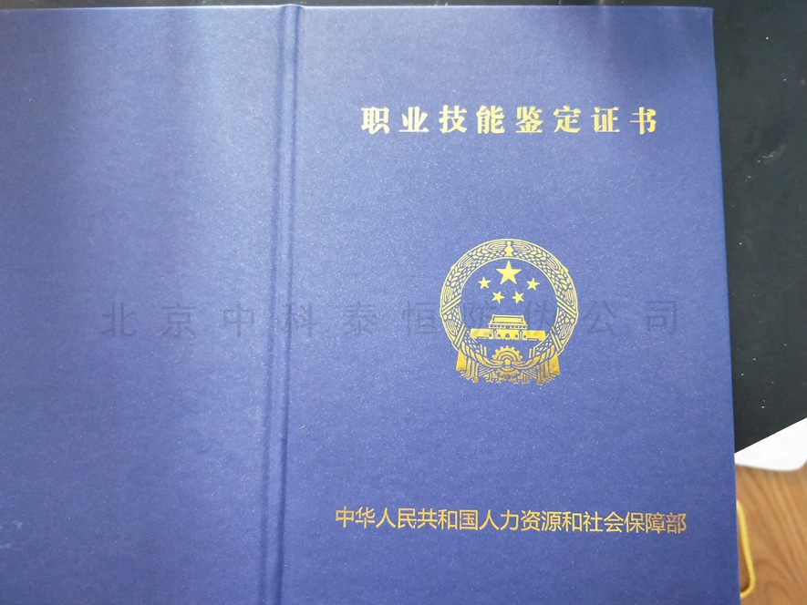 仿皮，珠光纸封皮
